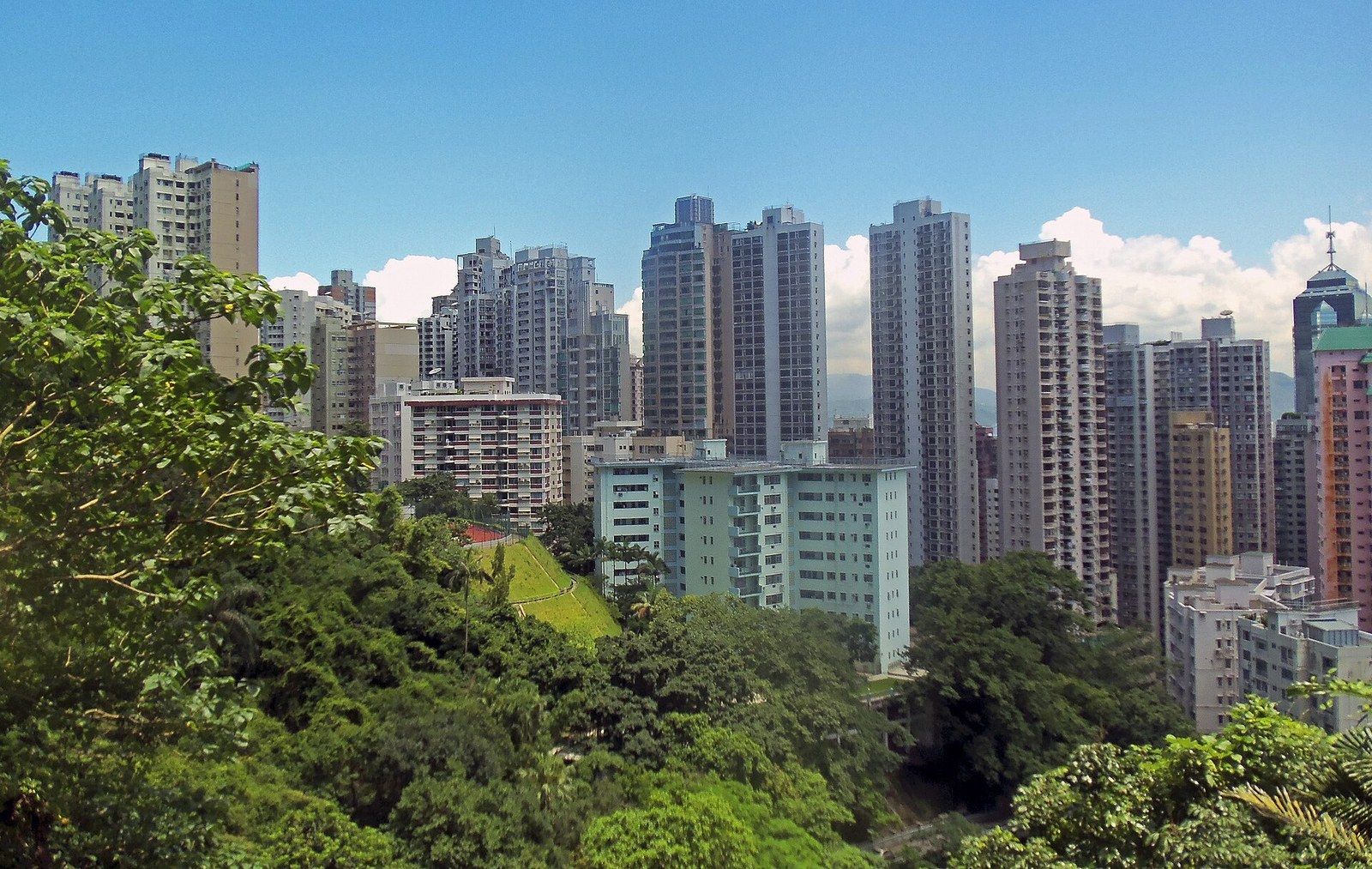 Tall residential towers packed onto a steep wooded hillside, a Wikimedia Commons photograph in Michael Stern's encyclopedia