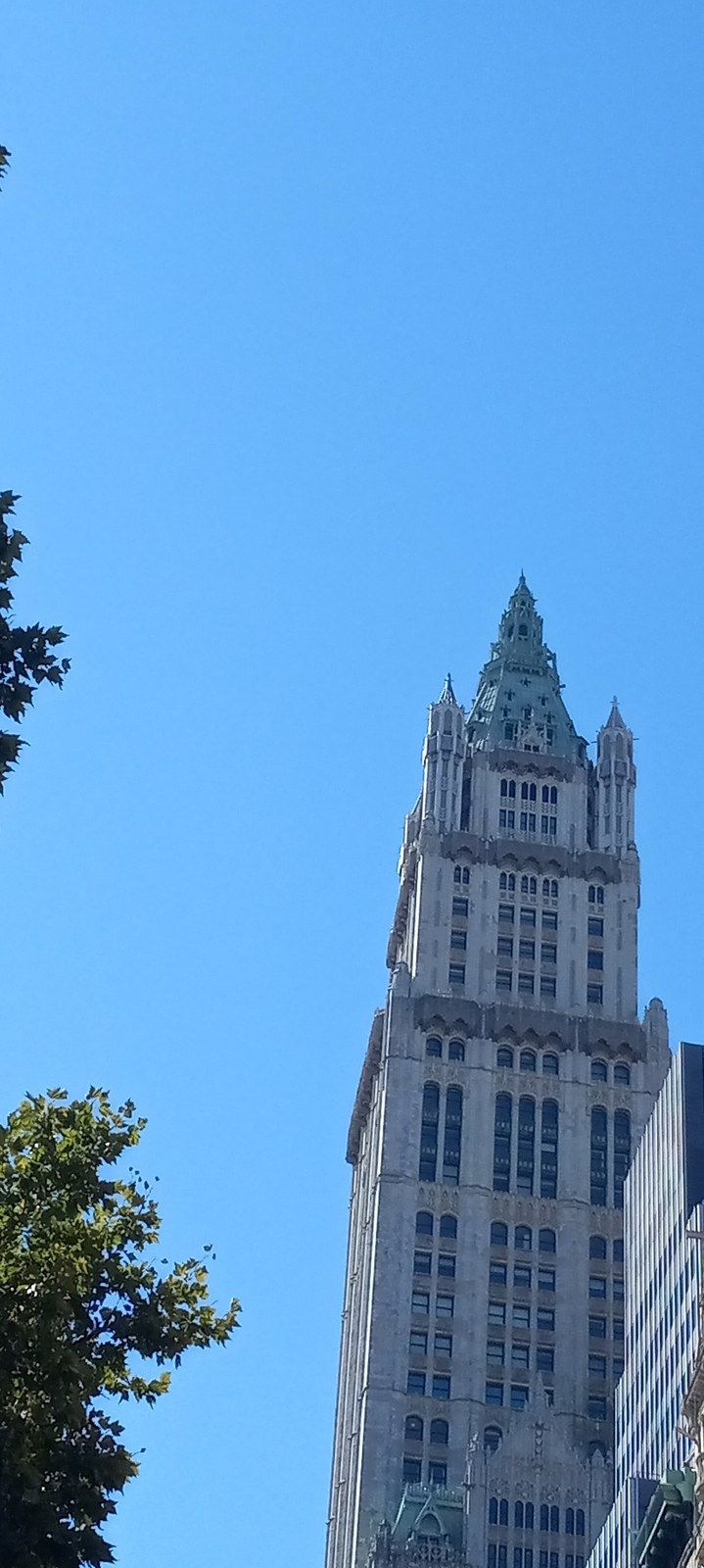 A tall terra cotta clad tower with a pointed green copper roof against a blue sky, a Wikimedia Commons photograph in Michael Stern's encyclopedia