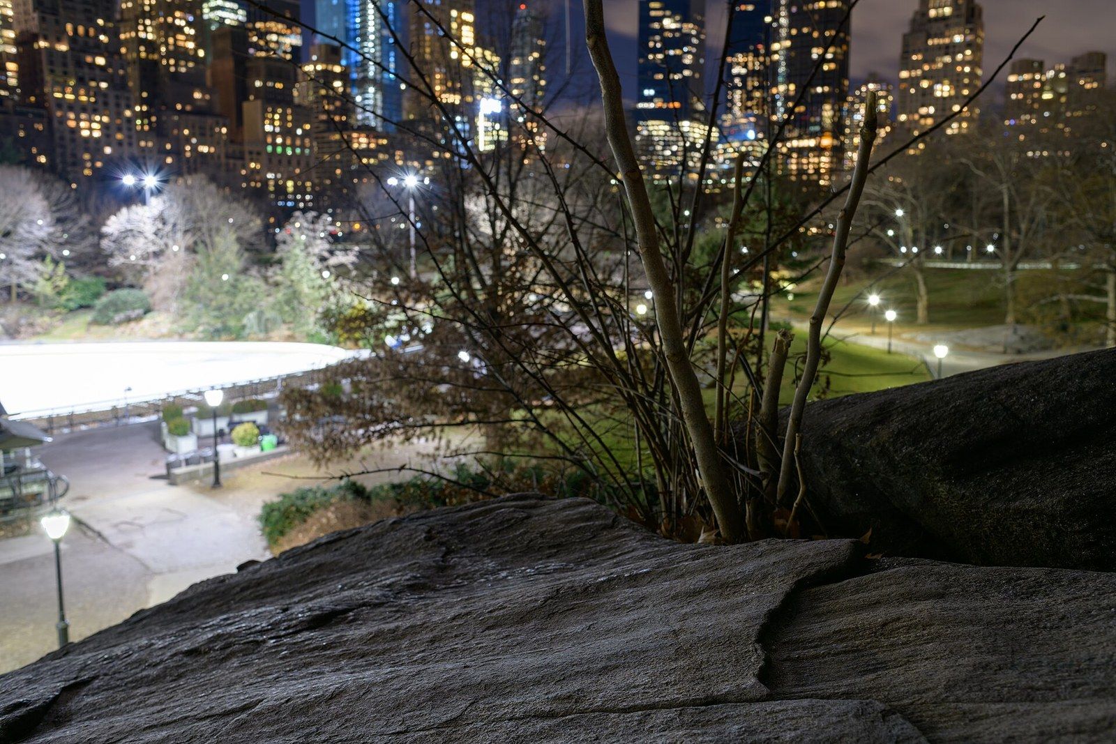 A bedrock outcrop in a park at night with lit buildings behind, a Wikimedia Commons photograph in Michael Stern's encyclopedia