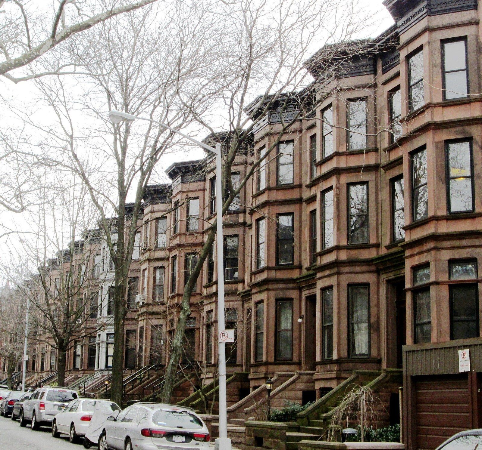 A row of attached brownstone houses with bay windows along a tree lined street, a Wikimedia Commons photograph in Michael Stern's encyclopedia